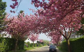 B&B prince d’Orange Waterloo